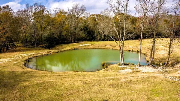 a view of a swimming pool