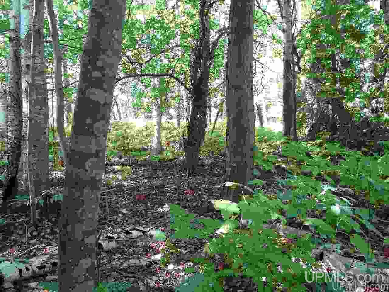 Tbd Freda Road Atlantic Mine, MI 49905 - Photo 5 of 17