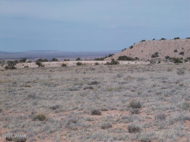 001 Sec 29 T13n R29e St. Johns, AZ 85936 - Photo 3 of 9