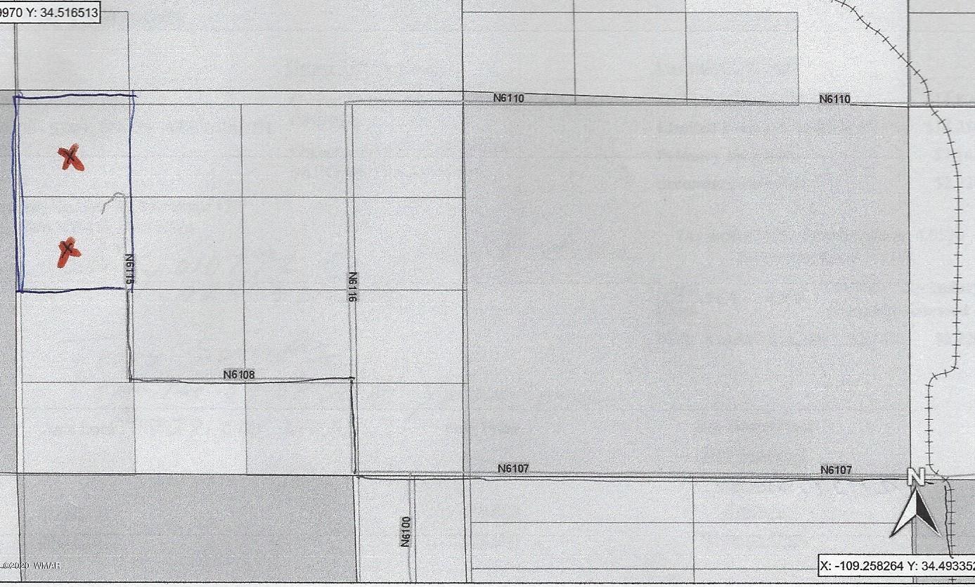 001 Sec 29 T13n R29e St. Johns, AZ 85936 - Photo 8 of 9