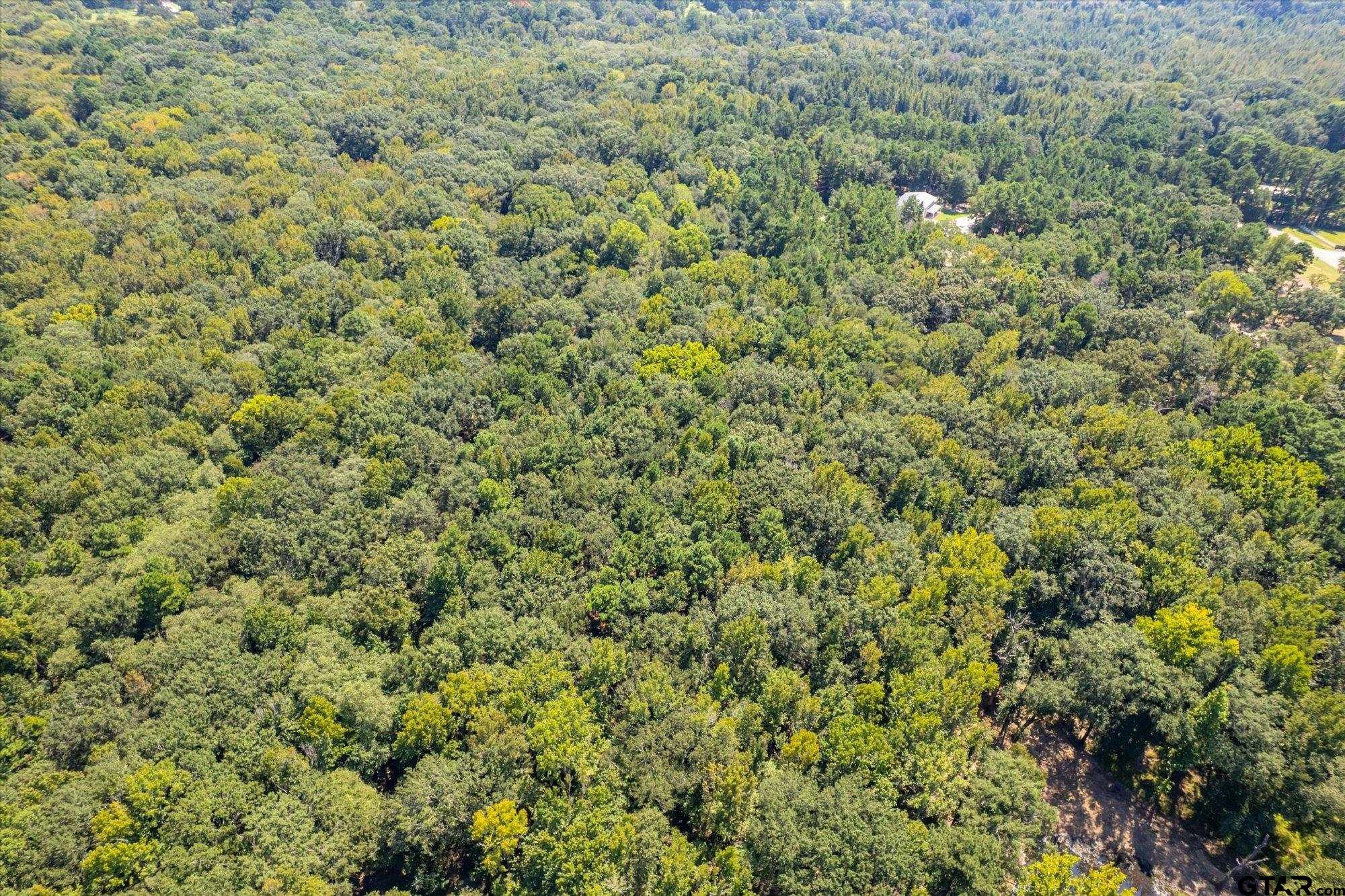 1000 West Main Street Chandler, TX 75758 - Photo 23 of 33