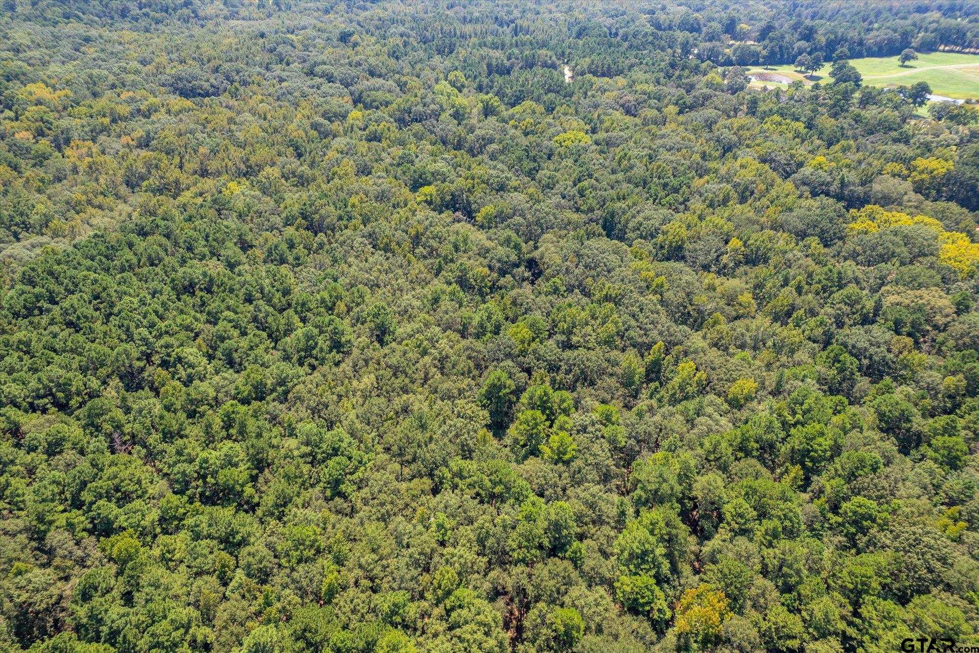 1000 West Main Street Chandler, TX 75758 - Photo 24 of 33