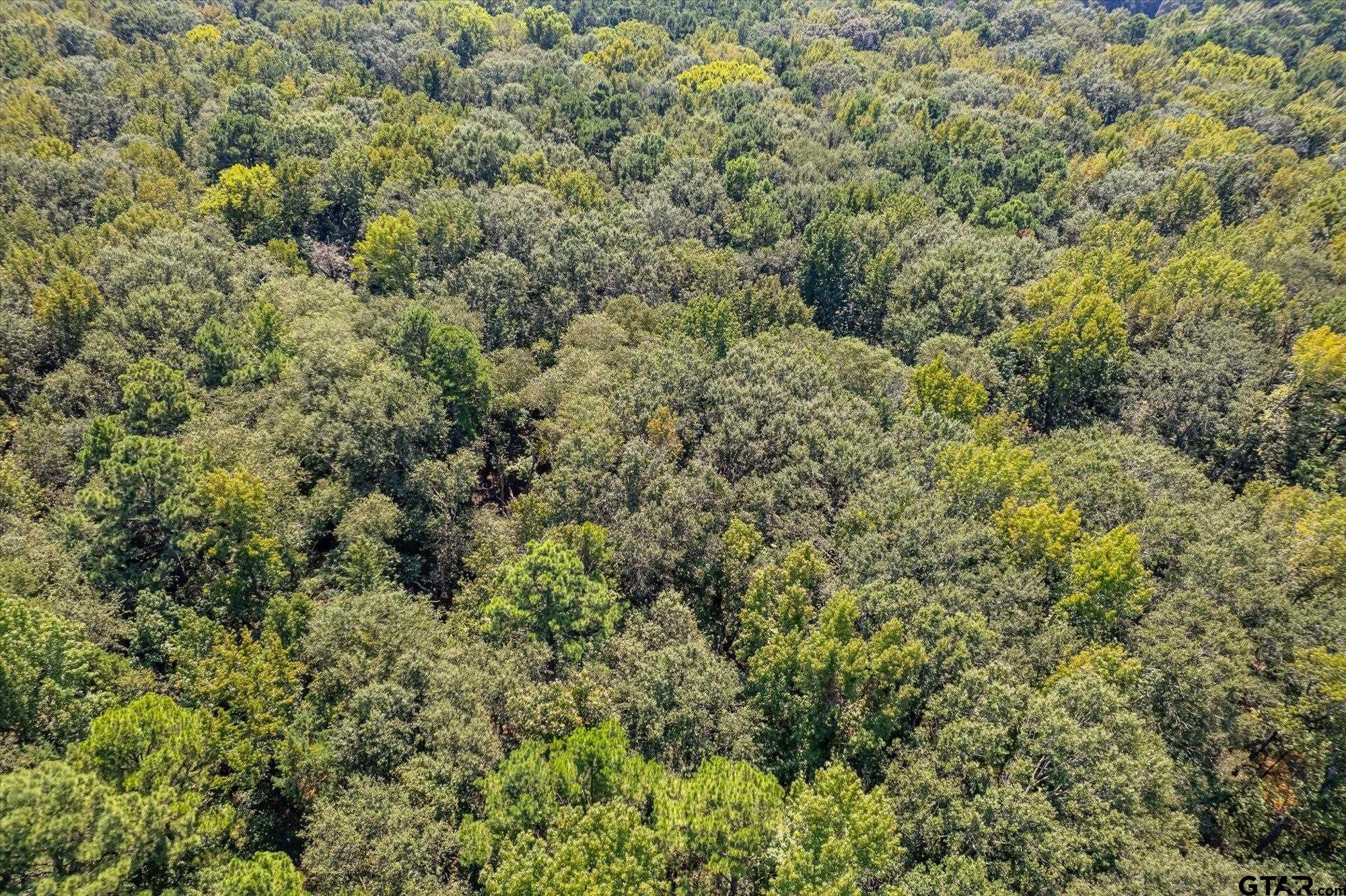 1000 West Main Street Chandler, TX 75758 - Photo 25 of 33