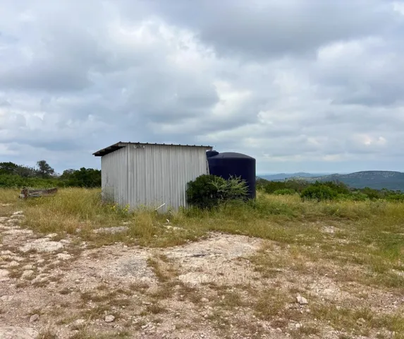 a view of a lake from a yard