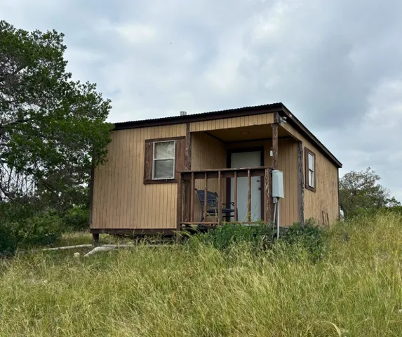 view of a bunch of trees