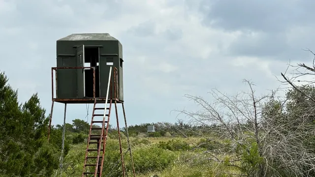 a view of beach and green space
