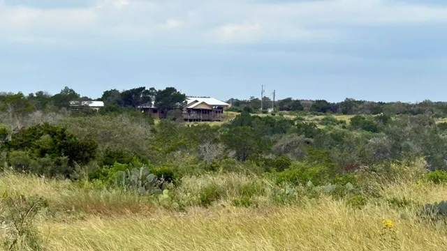 a view of a lush green forest with houses