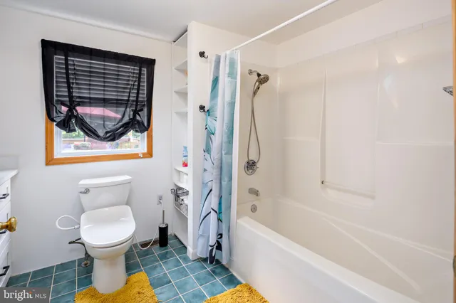a bathroom with a toilet and a bathtub