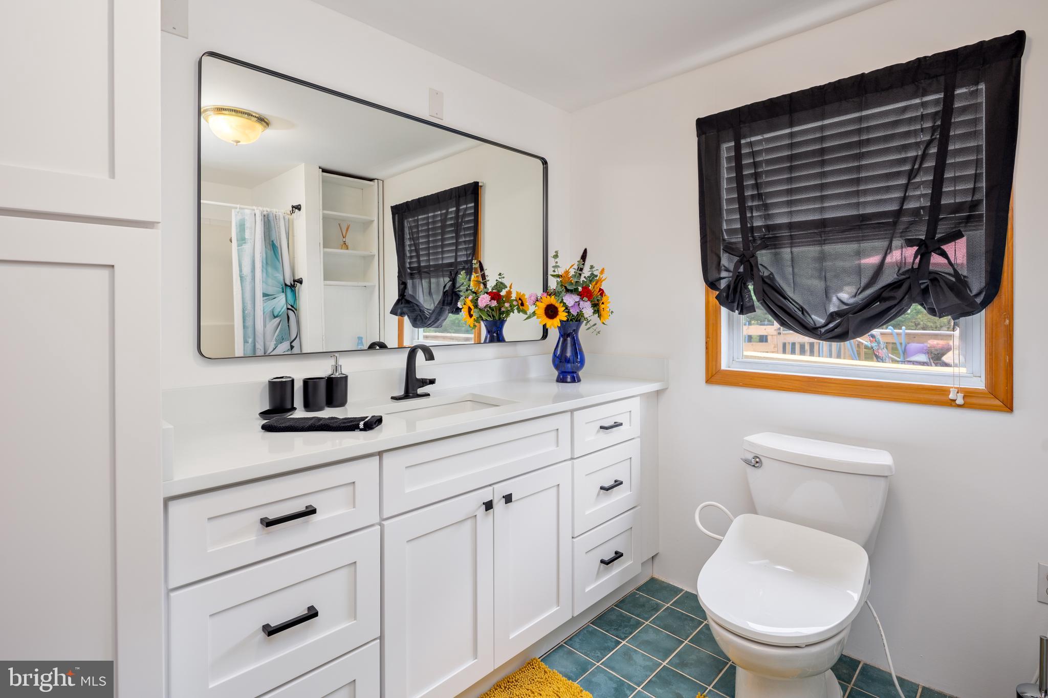 1045 Doyle Road Street, MD 21154 - Photo 18 of 49 a bathroom with a toilet a sink and mirror
