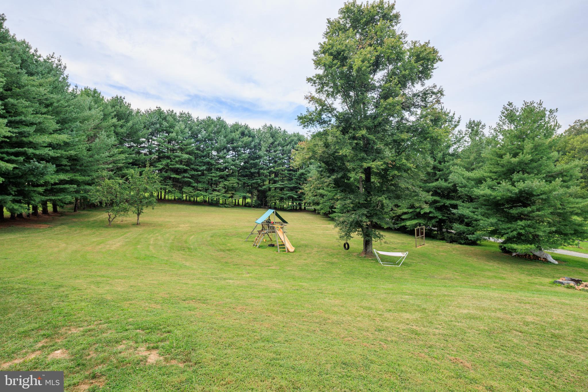 1045 Doyle Road Street, MD 21154 - Photo 40 of 49 a swimming pool with lots of trees and plants in the background
