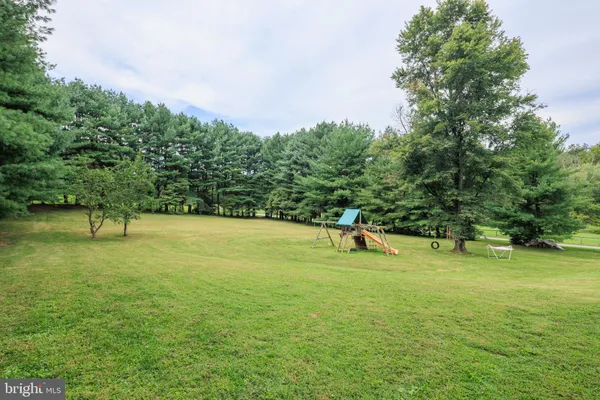 a view of a field with trees in the background