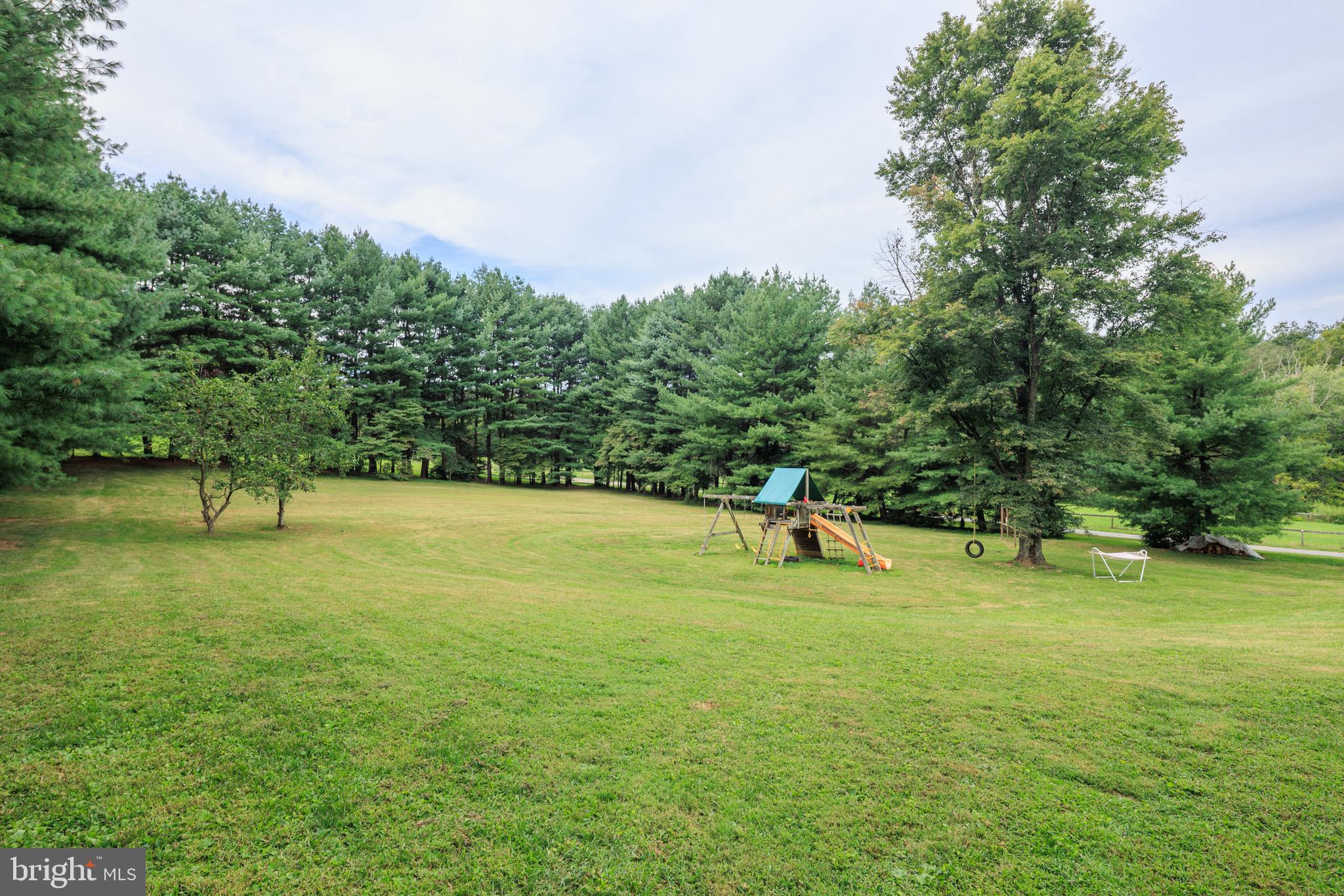 1045 Doyle Road Street, MD 21154 - Photo 42 of 49 a view of a field with trees in the background