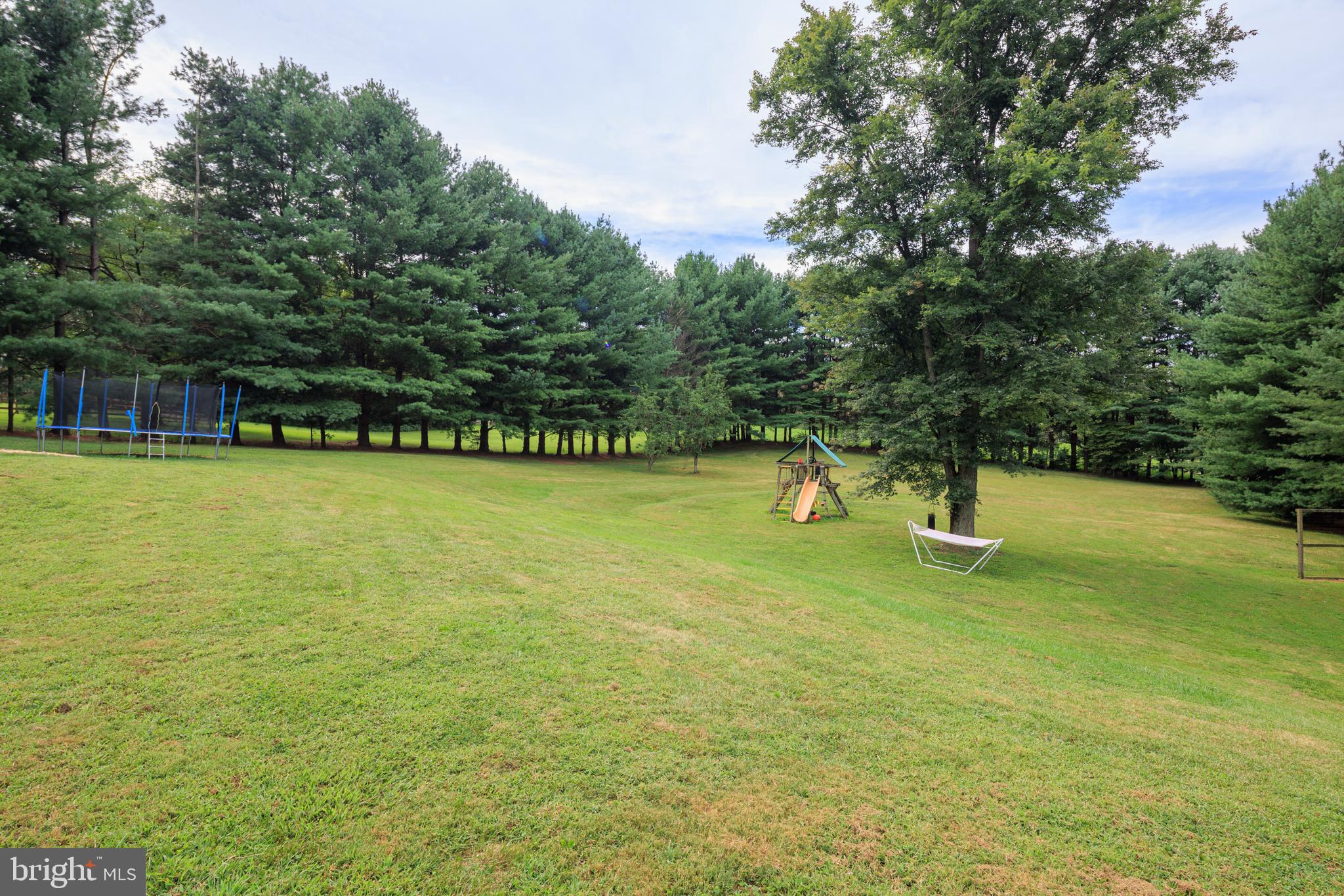 1045 Doyle Road Street, MD 21154 - Photo 49 of 49 a view of a swimming pool with a yard and large trees