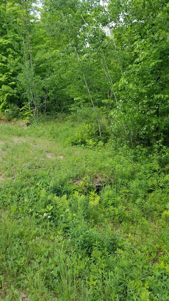 . Skerry Road North Bangor, NY 12966 - Photo 17 of 28 Gallery Image 17