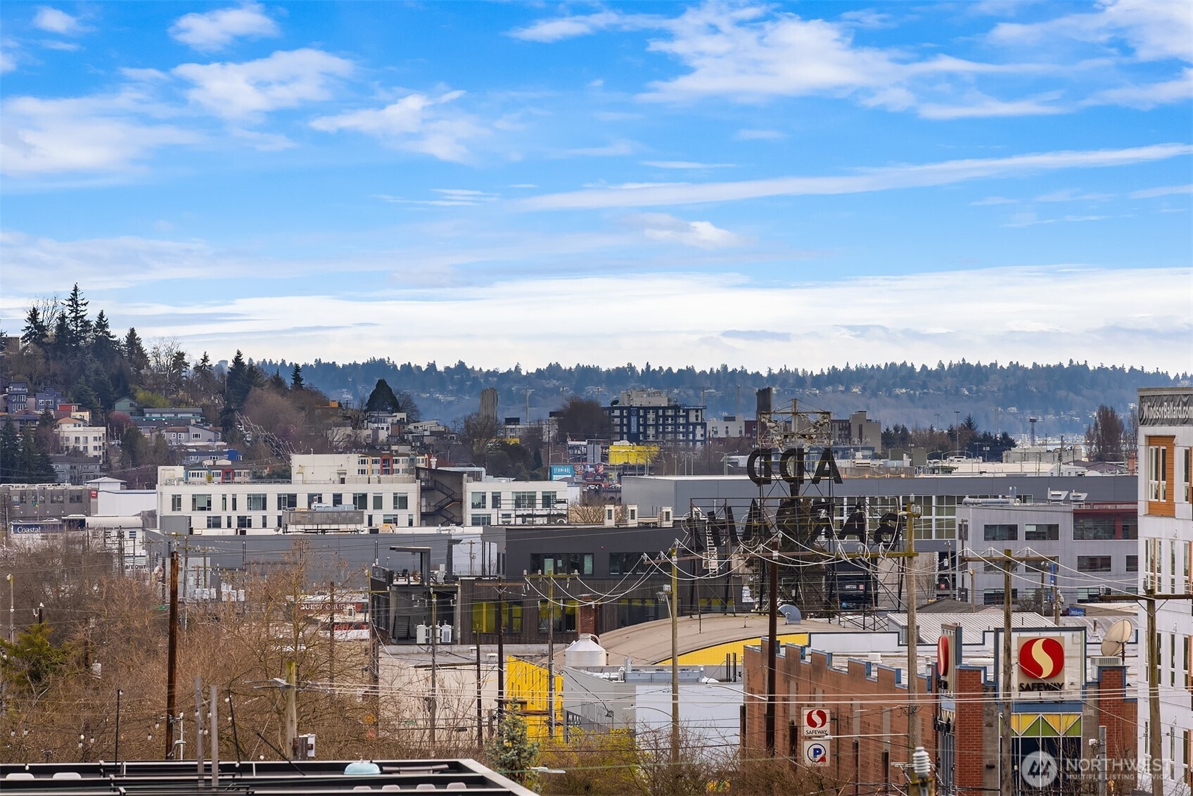 1153 Northwest 58th Street Seattle, WA 98107 - Photo 29 of 29 a view of a city with tall buildings