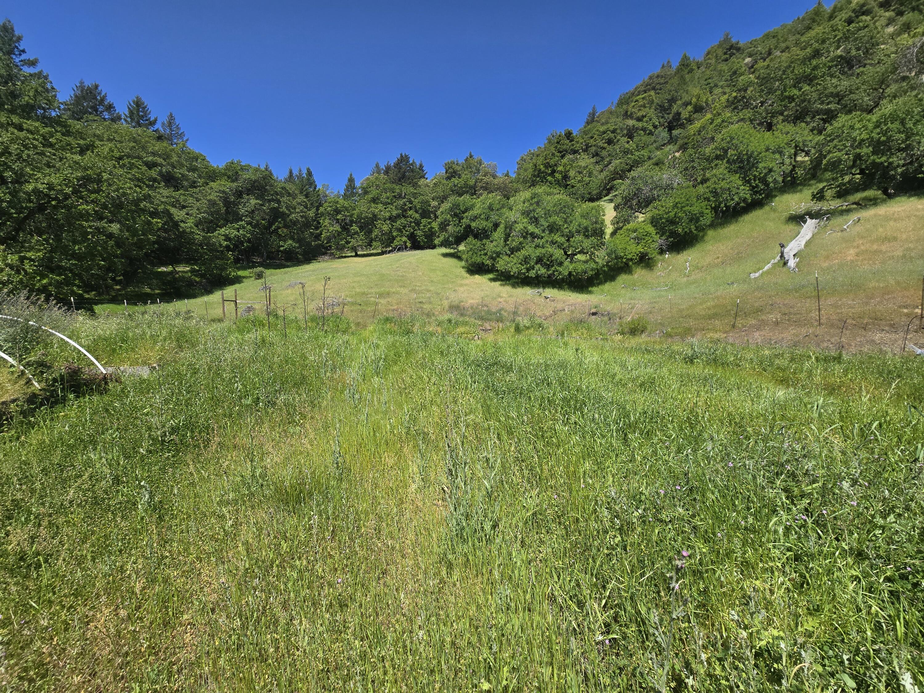 74900 Island Mountain Road Garberville, CA 95542 - Photo 7 of 37