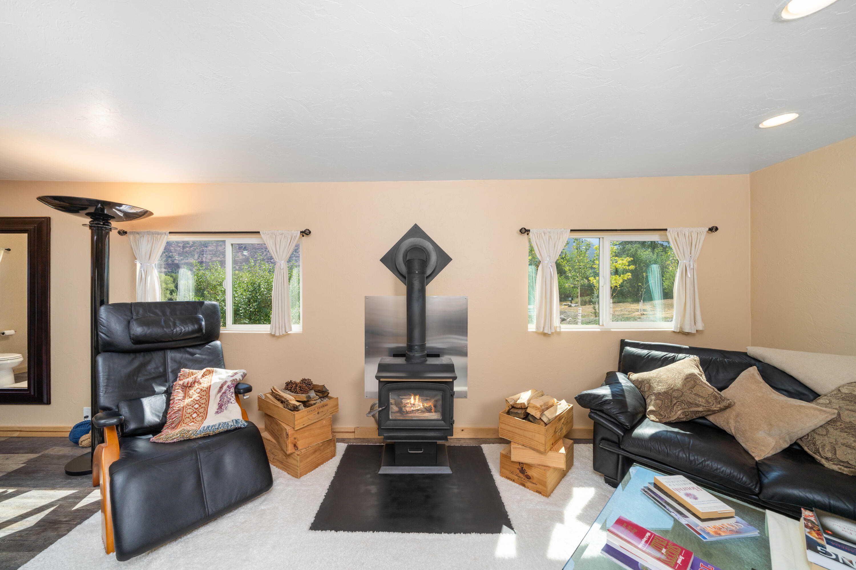 333 Marys Road Ridgway, CO 81432 - Photo 21 of 42 21-DSC02539