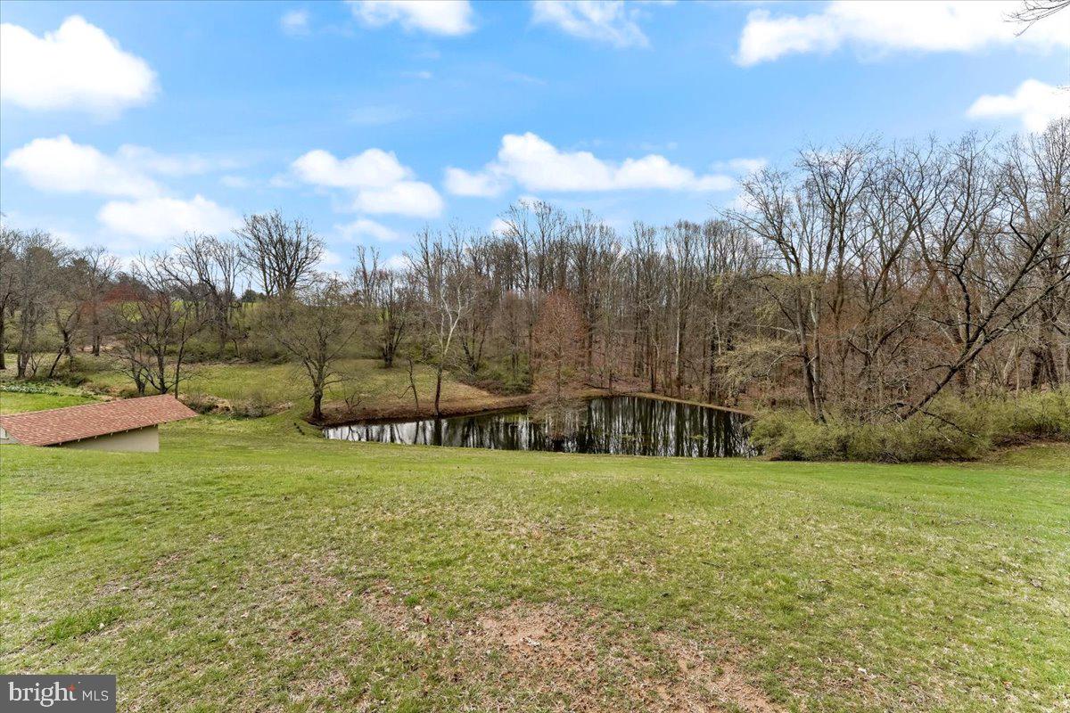 6 Ringfield Road, Unit B3 Chadds Ford, PA 19317 - Photo 39 of 50 Protected Pond and Woods Area