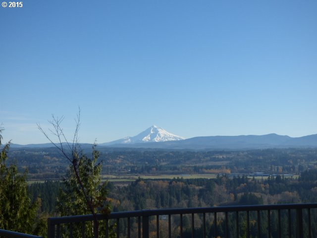 20586 South Springwater Road Estacada, OR 97023 - Photo 6 of 32 a view of a houses with a yard