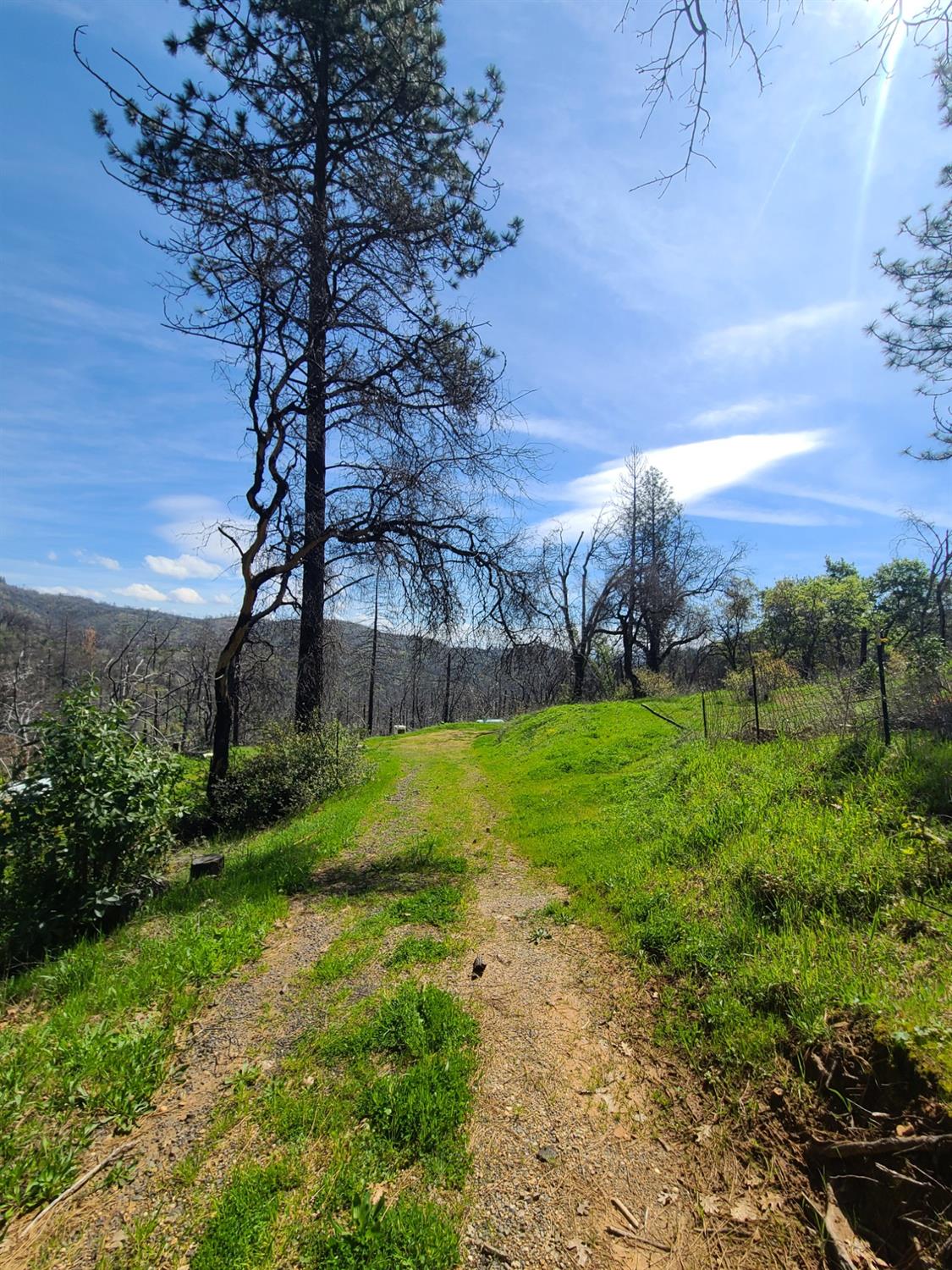 519 Little Ridge Road Berry Creek, CA 95916 - Photo 1 of 1 Gallery Image 1