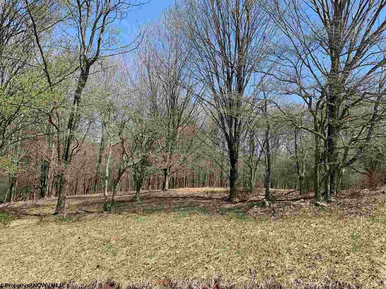 Lot 37 Hawthorne Dryfork, WV 26263 - Photo 1 of 3 Gallery Image 1