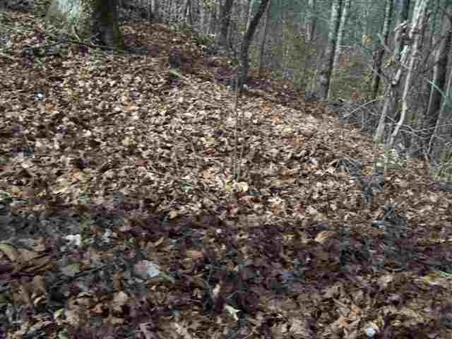 0 County Road 28 Calhoun, TN 37309 - Photo 5 of 20 Gallery Image 5