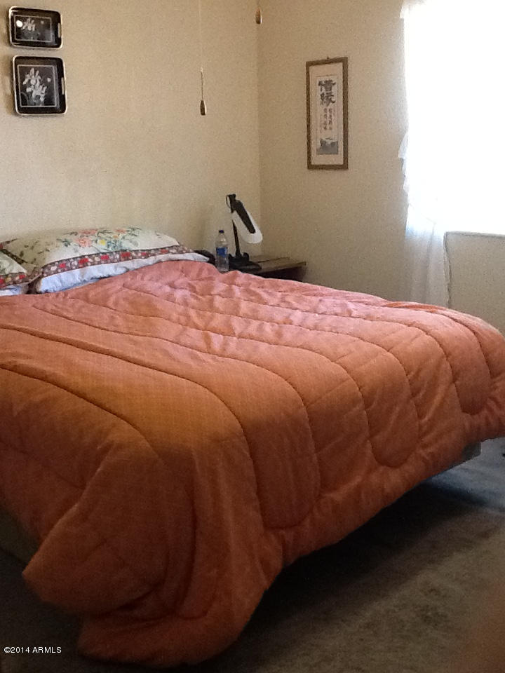 176 Jamestown Road Kearny, AZ 85137 - Photo 13 of 16 IMG_1037