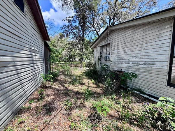 a view of a backyard with plants and large trees