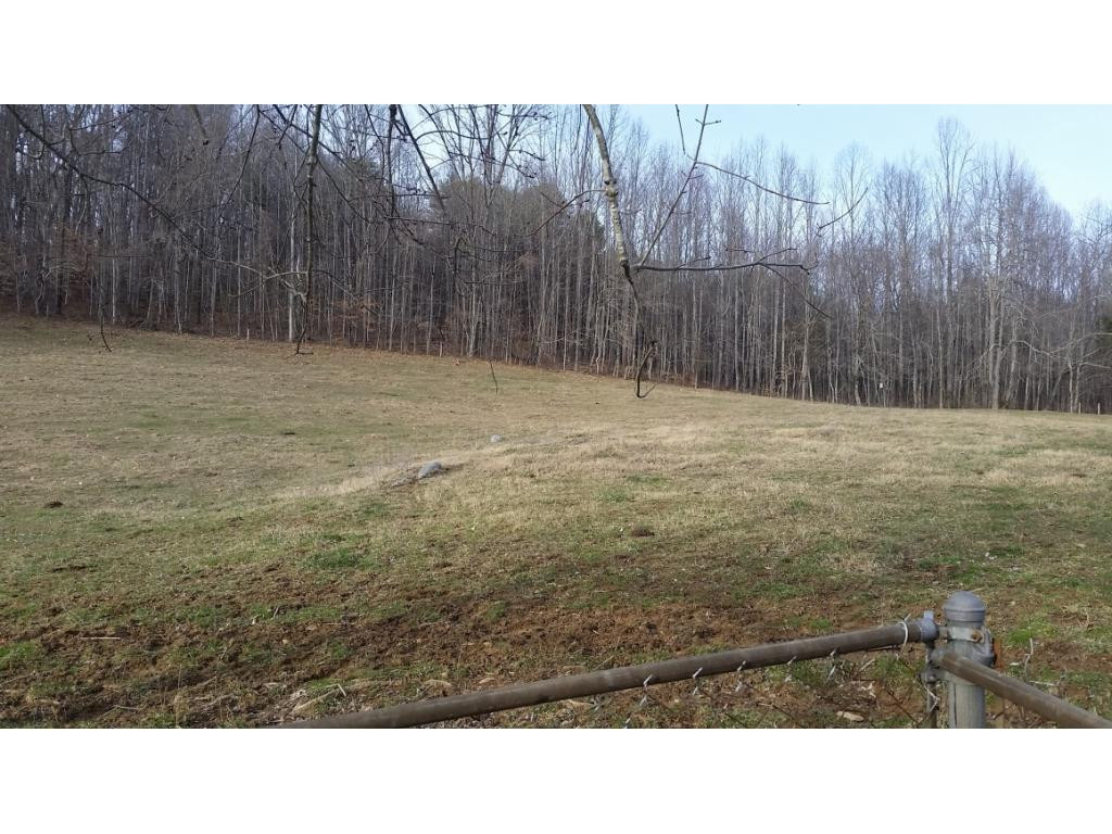 198 Coxes Springs Road Fall Branch, TN 37656 - Photo 3 of 28 Photo 3