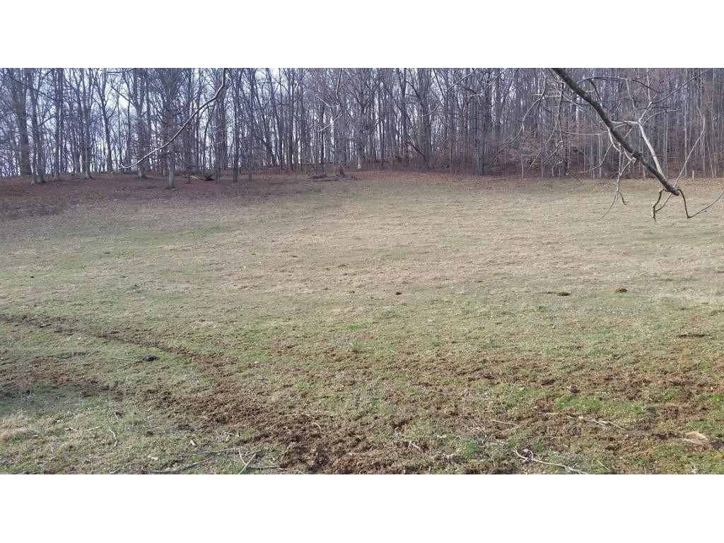 198 Coxes Springs Road Fall Branch, TN 37656 - Photo 4 of 28 Photo 4
