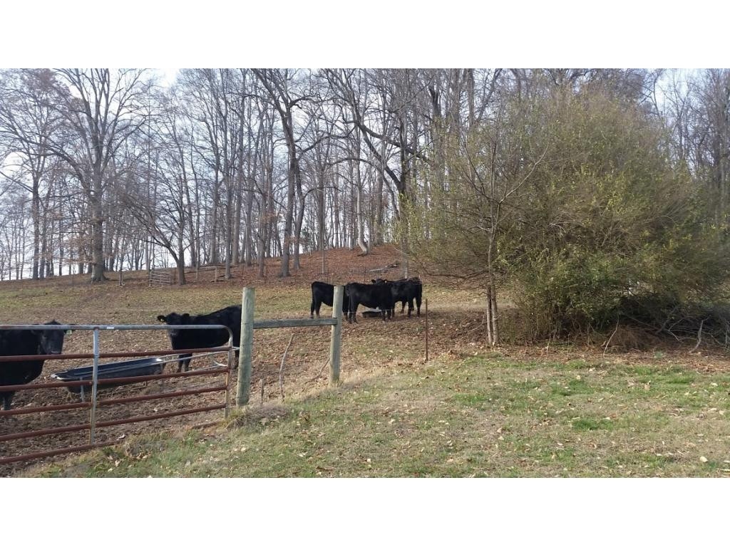 198 Coxes Springs Road Fall Branch, TN 37656 - Photo 9 of 28 Photo 9