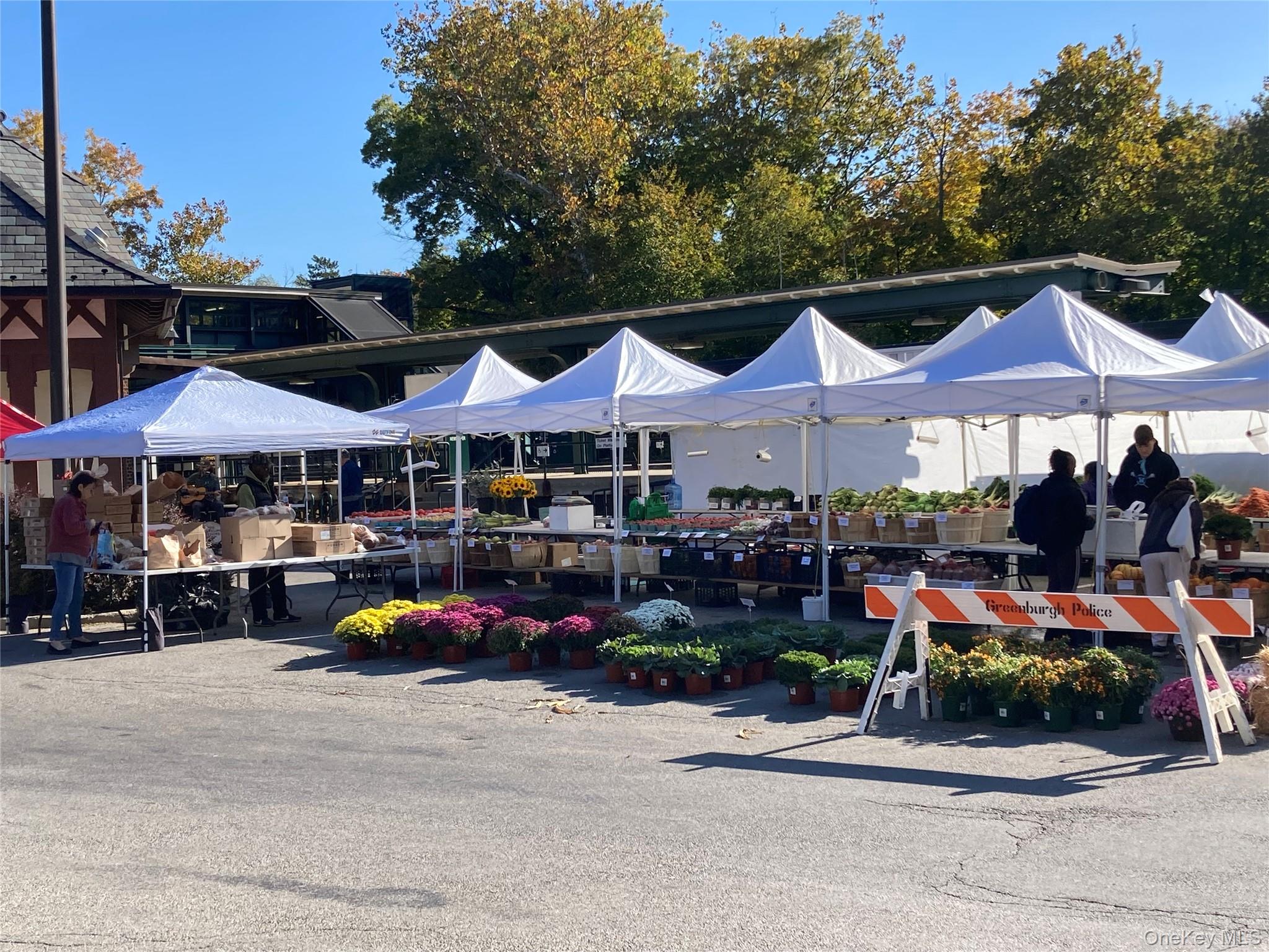 186 Pinewood Road, Unit 56 Hartsdale, NY 10530 - Photo 28 of 29 Visit the farmer's market next to the train station that is open every Saturday
