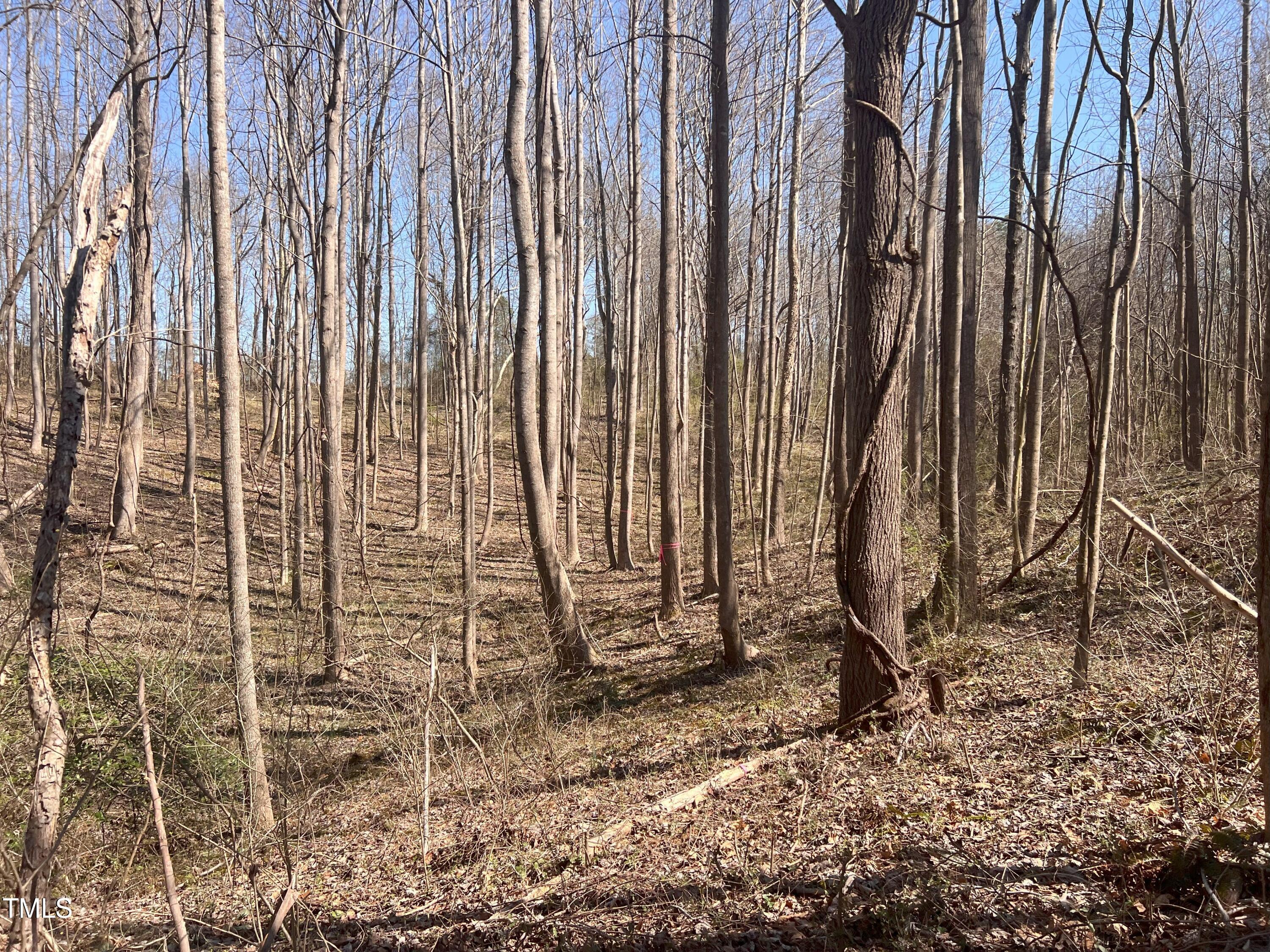 Lot 6 Fishing Creek Road Enfield, NC 27823 - Photo 5 of 5 IMG_1088