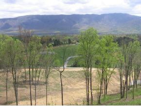 0 Shakerag Road Greeneville, TN 37743 - Photo 1 of 8 Photo 1