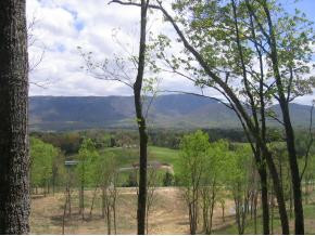 0 Shakerag Road Greeneville, TN 37743 - Photo 3 of 8 Photo 3