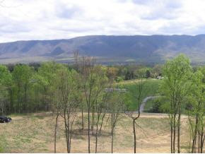 0 Shakerag Road Greeneville, TN 37743 - Photo 4 of 8 Photo 4