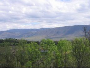 0 Shakerag Road Greeneville, TN 37743 - Photo 5 of 8 Photo 5