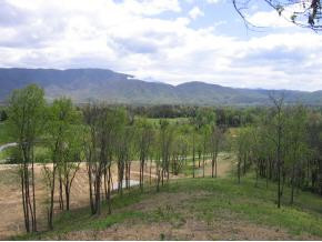 0 Shakerag Road Greeneville, TN 37743 - Photo 6 of 8 Photo 6