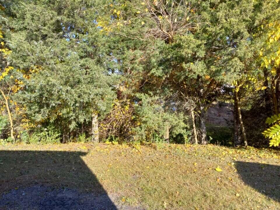 59443 Rogers Road Colon, MI 49040 - Photo 11 of 15 roger back yard