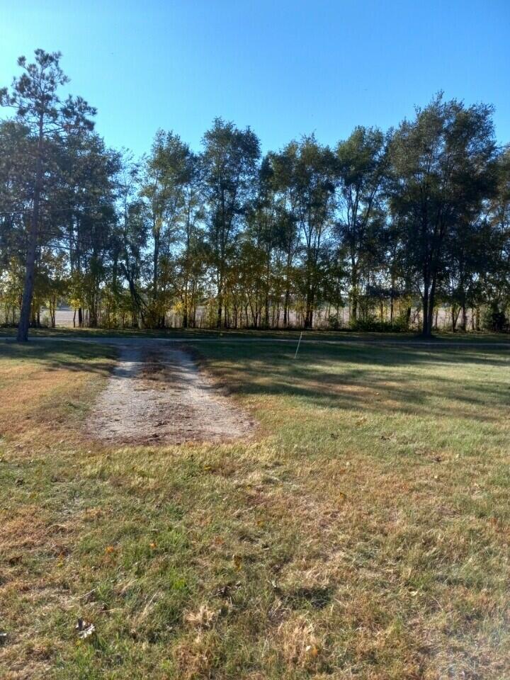59443 Rogers Road Colon, MI 49040 - Photo 12 of 15 roger front yard
