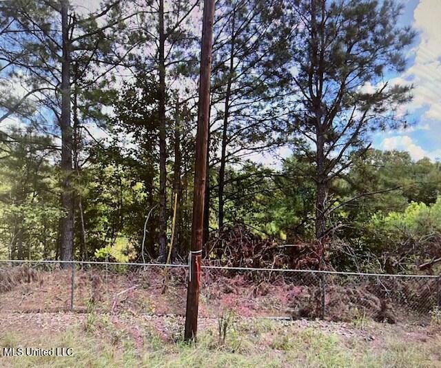 25 Longmire Road Natchez, MS 39120 - Photo 1 of 4 Main View