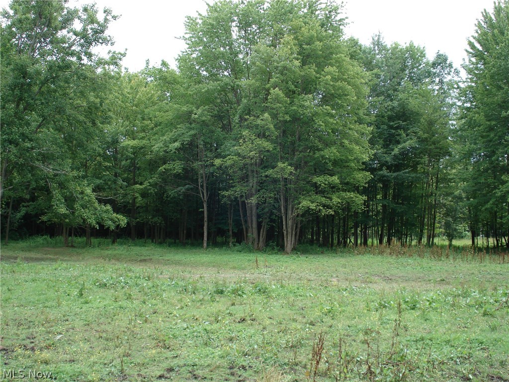 3556 Netcher Road Jefferson, OH 44047 - Photo 25 of 27 Gallery Image 25
