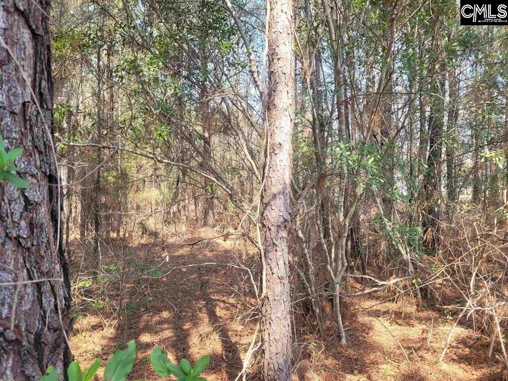 239 House Road Eastover, SC 29044 - Photo 5 of 10