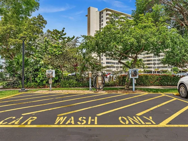 a garden with trees in front of it