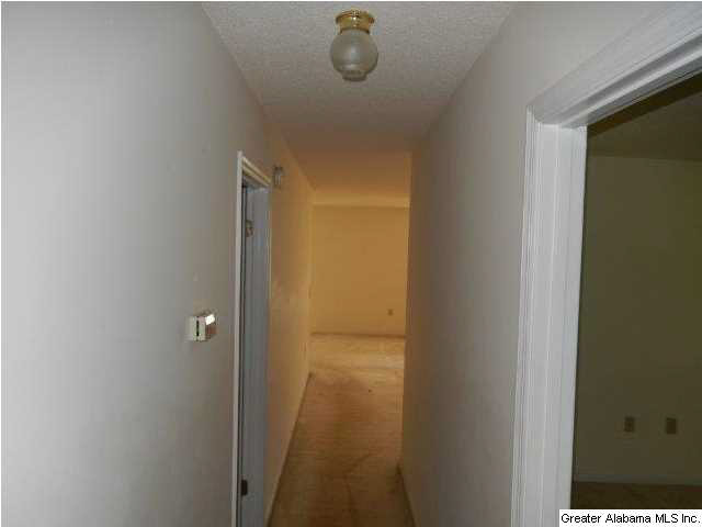 62 Cobb Brazeel Road Trafford, AL 35172 - Photo 9 of 16