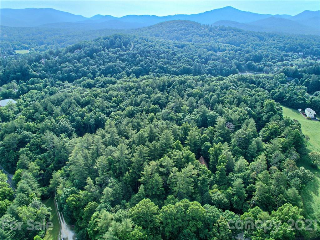9999 Merrill Road Fletcher, NC 28732 - Photo 1 of 12 Gallery Image 1