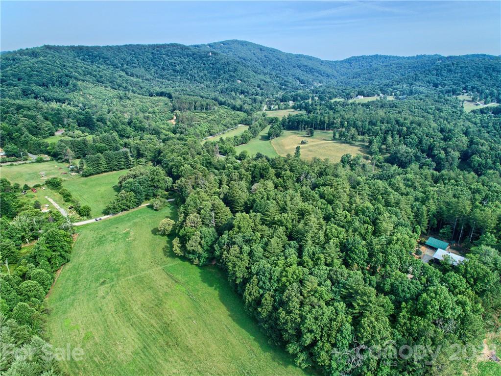 9999 Merrill Road Fletcher, NC 28732 - Photo 3 of 12 Gallery Image 3