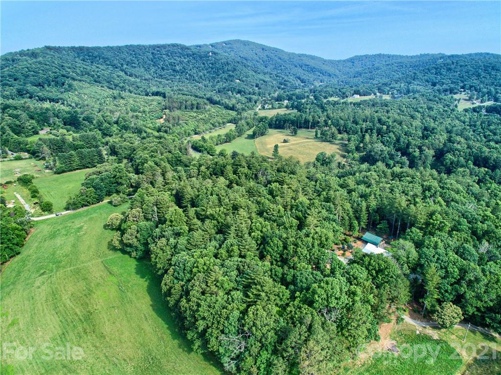 9999 Merrill Road Fletcher, NC 28732 - Photo 4 of 12 Gallery Image 4