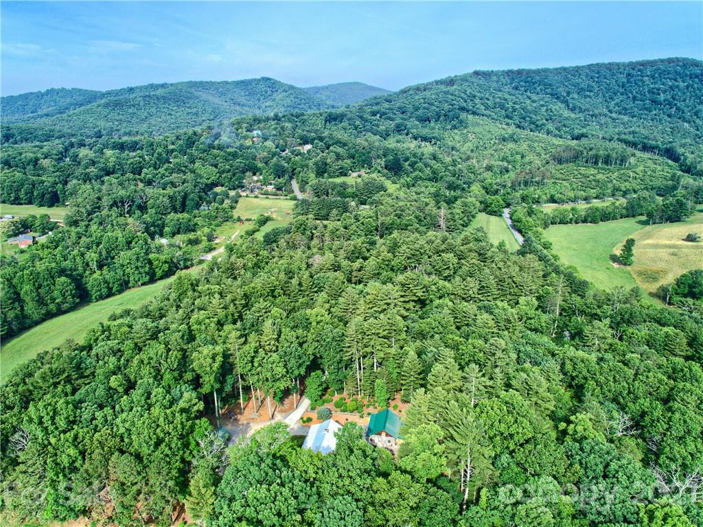 9999 Merrill Road Fletcher, NC 28732 - Photo 6 of 12 Gallery Image 6
