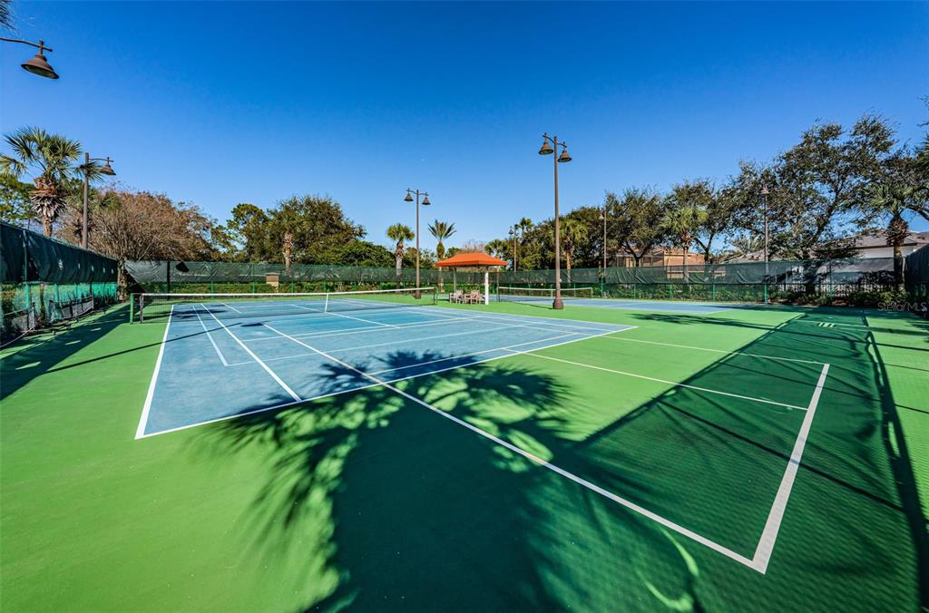 10031 Milano Drive Trinity, FL 34655 - Photo 100 of 100